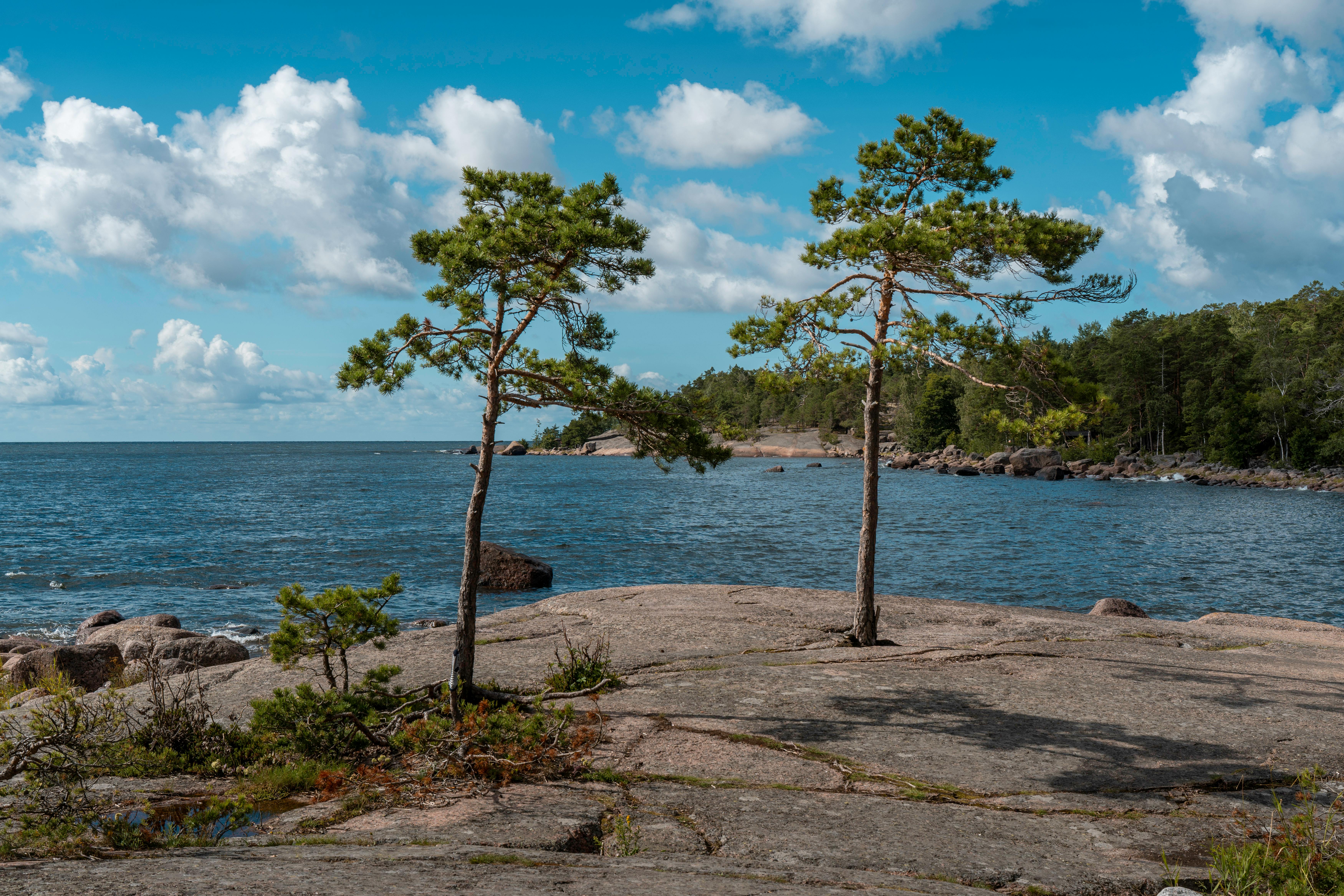 Beautiful summer view of a rocky Finnish archipelago with pine trees and a blue sky.