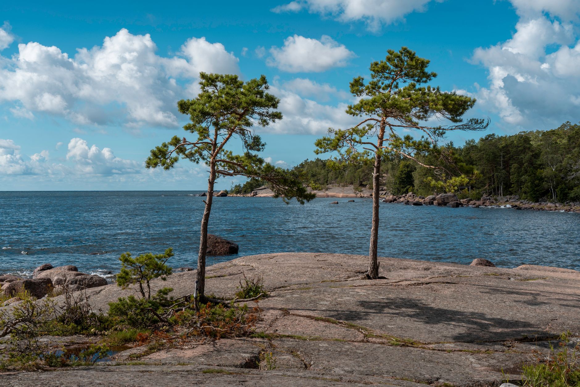 Beautiful summer view of a rocky Finnish archipelago with pine trees and a blue sky.