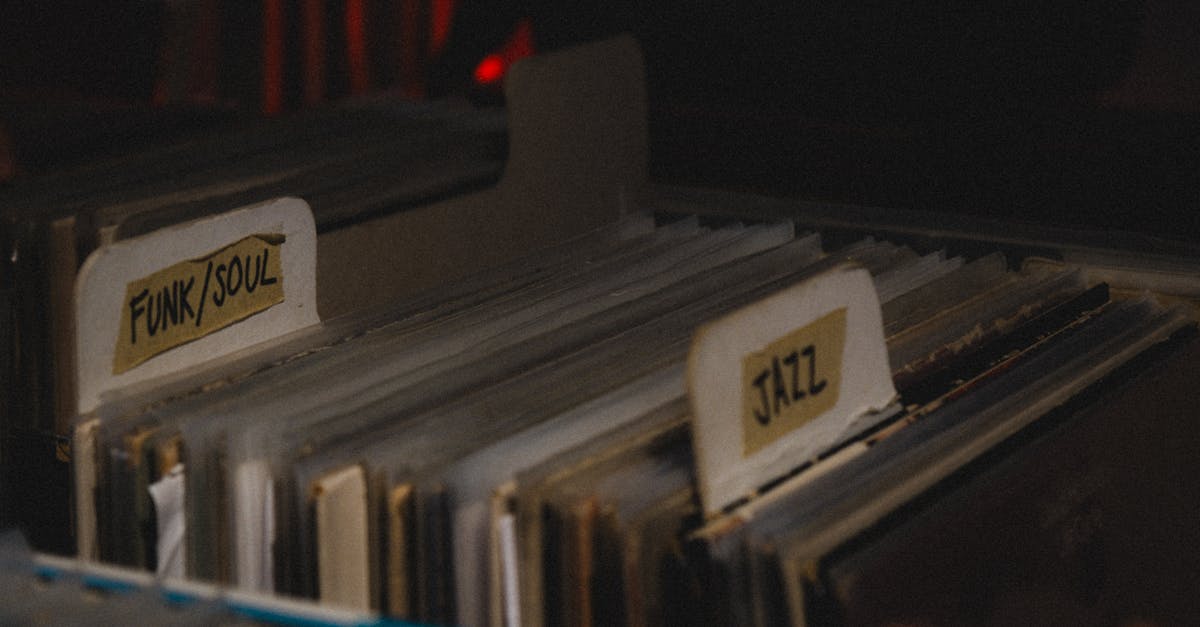 Organized Photo Albums With Tags And Folders