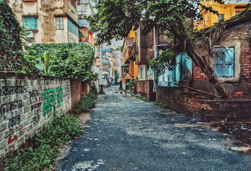 印度加尔各答色彩缤纷的小巷，被质朴的房屋和郁郁葱葱的绿化所环绕，尽显城市魅力