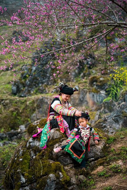 A mother and daughter in vibrant traditional clothing sitting on rocks under blooming cherry blossoms.