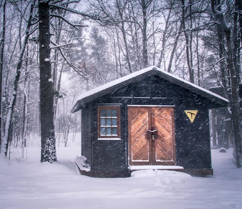 Free stock photo of cabin, canada, cold