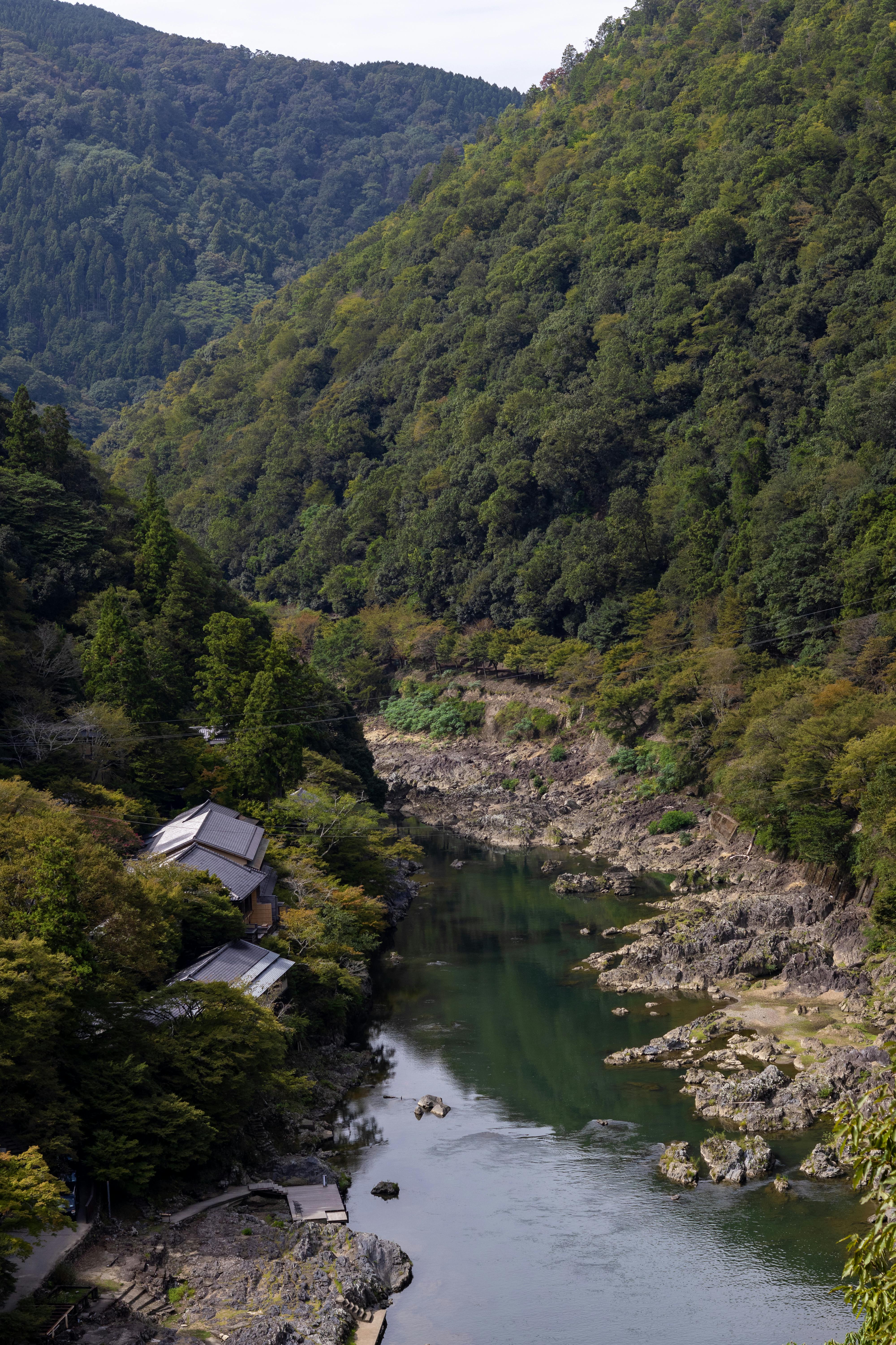 a river runs through a forested area with a house