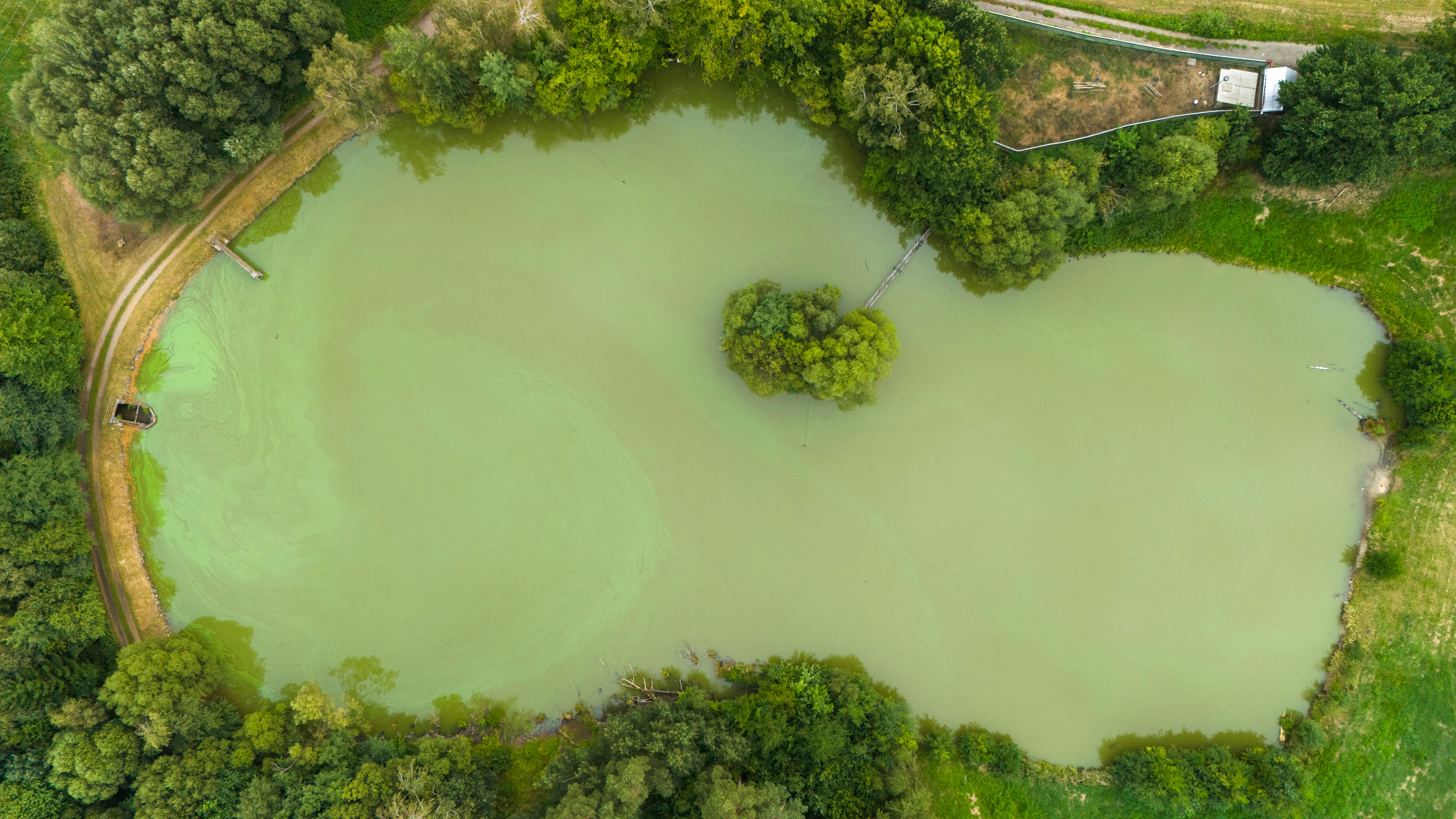 Aerial photo of a serene green pond surrounded by lush forest in the Czech countryside