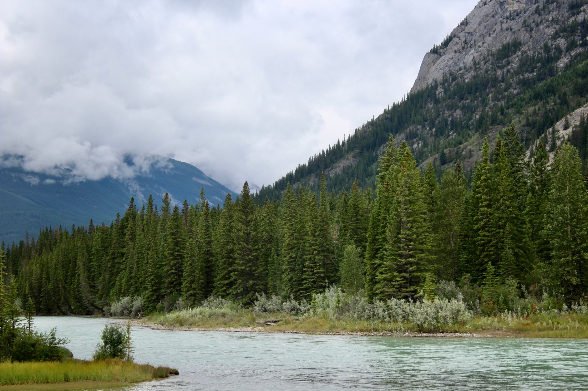 화담숲 예약, 성공적인 방문을 위한 최신 가이드 5 Serene mountain river scene with a lush pine forest and towering mountains under a cloudy sky.