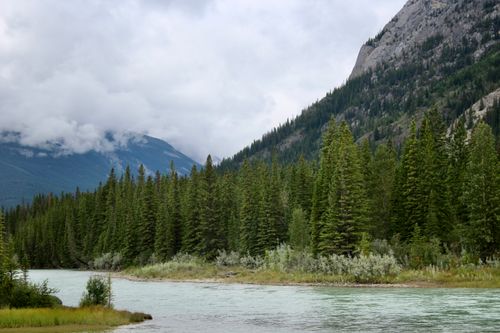 Free Serene mountain river scene with a lush pine forest and towering mountains under a cloudy sky. Stock Photo