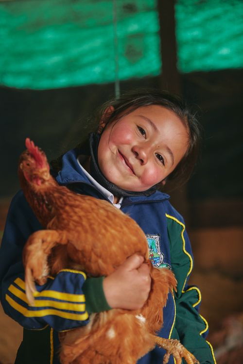 Free A young girl joyfully holding a chicken on a rural farm in Bogotá, showcasing a warm and playful interaction. Stock Photo