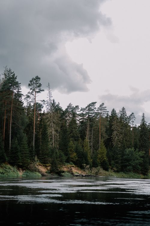 Free Serene view of a lush forest reflecting on a calm river under a cloudy sky. Stock Photo