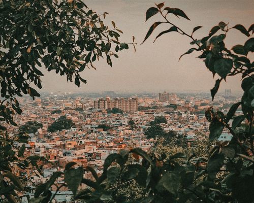 Free Panoramic view of Jodhpur city framed by lush foliage, showcasing the vibrant buildings and landscape. Stock Photo
