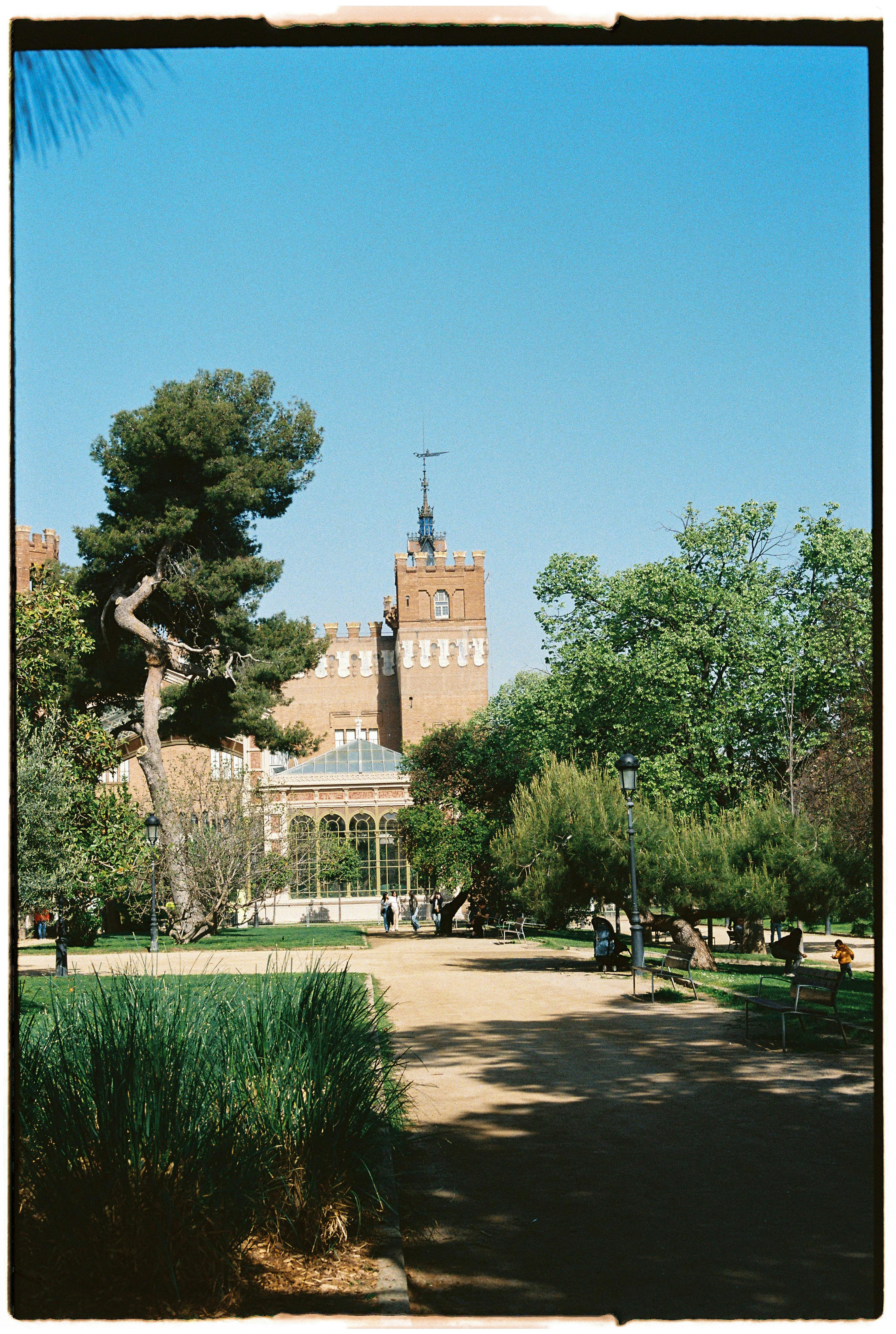 a view of a park with trees and a castle in the background