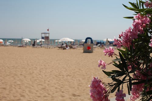 Free stock photo of beach, holidays, jesolo