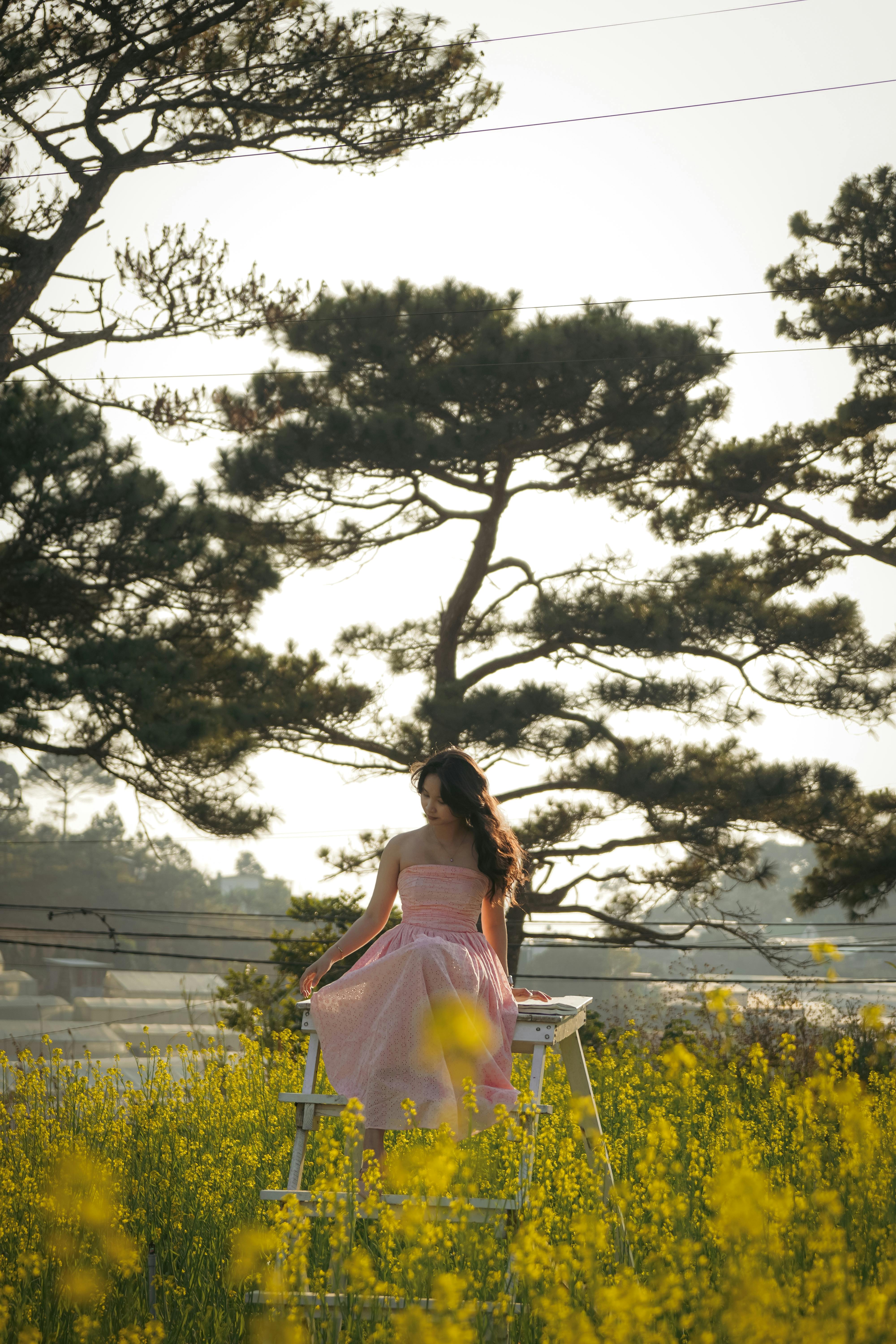 A woman in a pink dress stands among yellow flowers in Dalat, Vietnam during sunset.