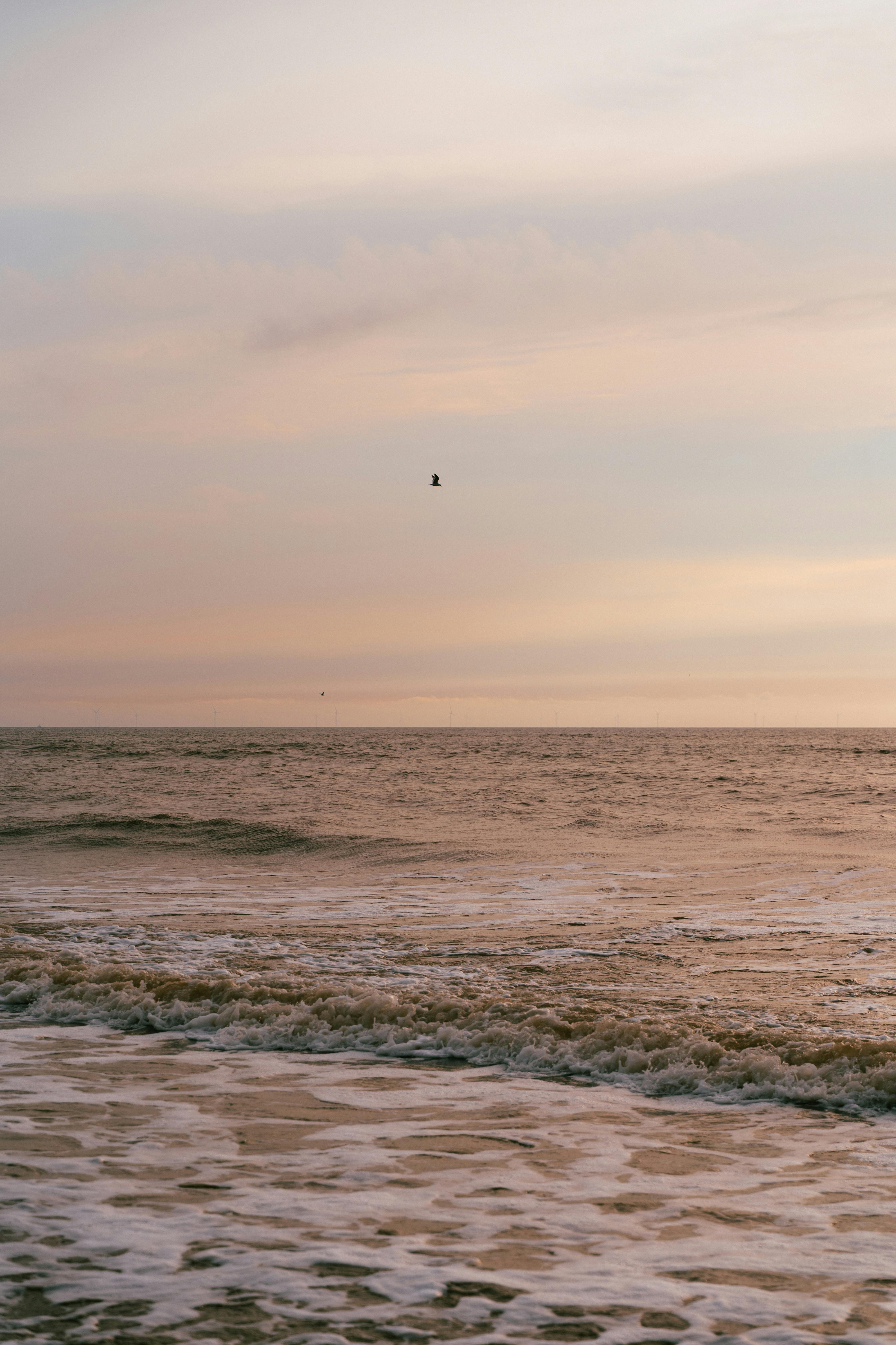 A peaceful beach scene at sunset with gentle waves and a solitary bird flying over the ocean.