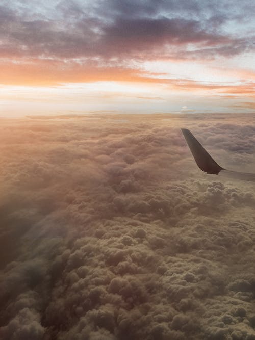 Free stock photo of aeroplanes, dramatic sky Stock Photo