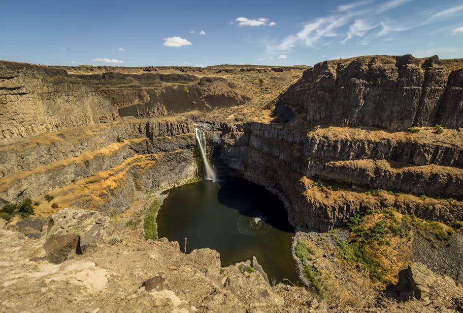 Desert Falls: Beyond the Slides – Unveiling the Hidden Ecology of an Adventure Park