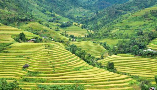 Free Beautiful terraced rice fields in a rural valley surrounded by hills and lush greenery. Stock Photo