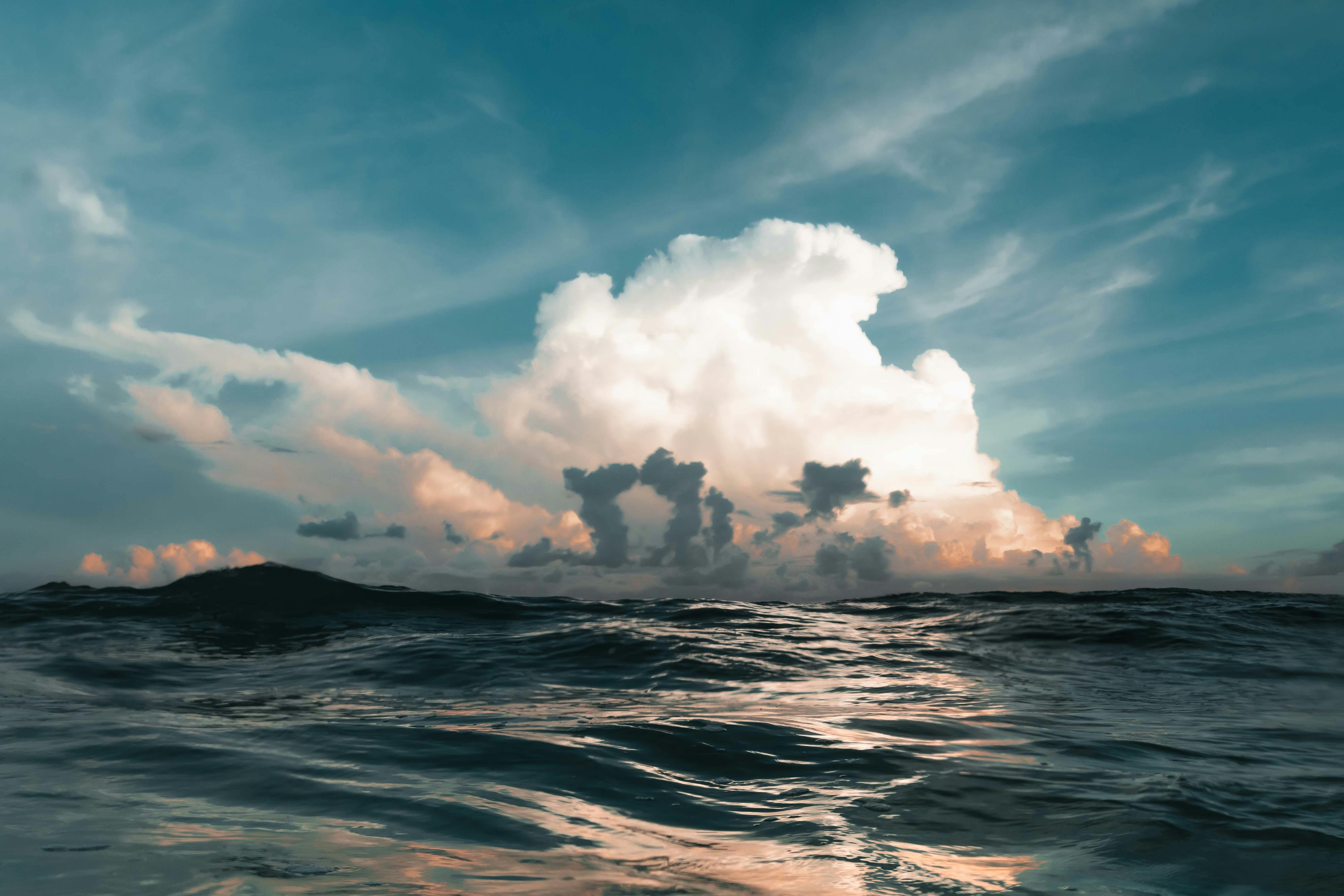 climate resilience, sea level rise, drought mitigation, ecosystem restoration, climate policy, Climate adaptation — Photo by 