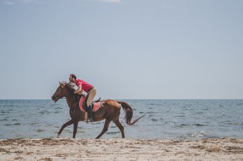 Free A man is riding a horse on a sandy beach along the ocean under a clear sky. Stock Photo