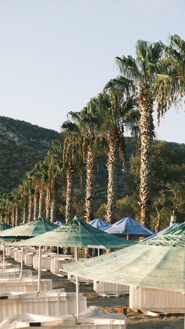 Serene beachside resort with palm trees and sun umbrellas inviting relaxation and leisure.