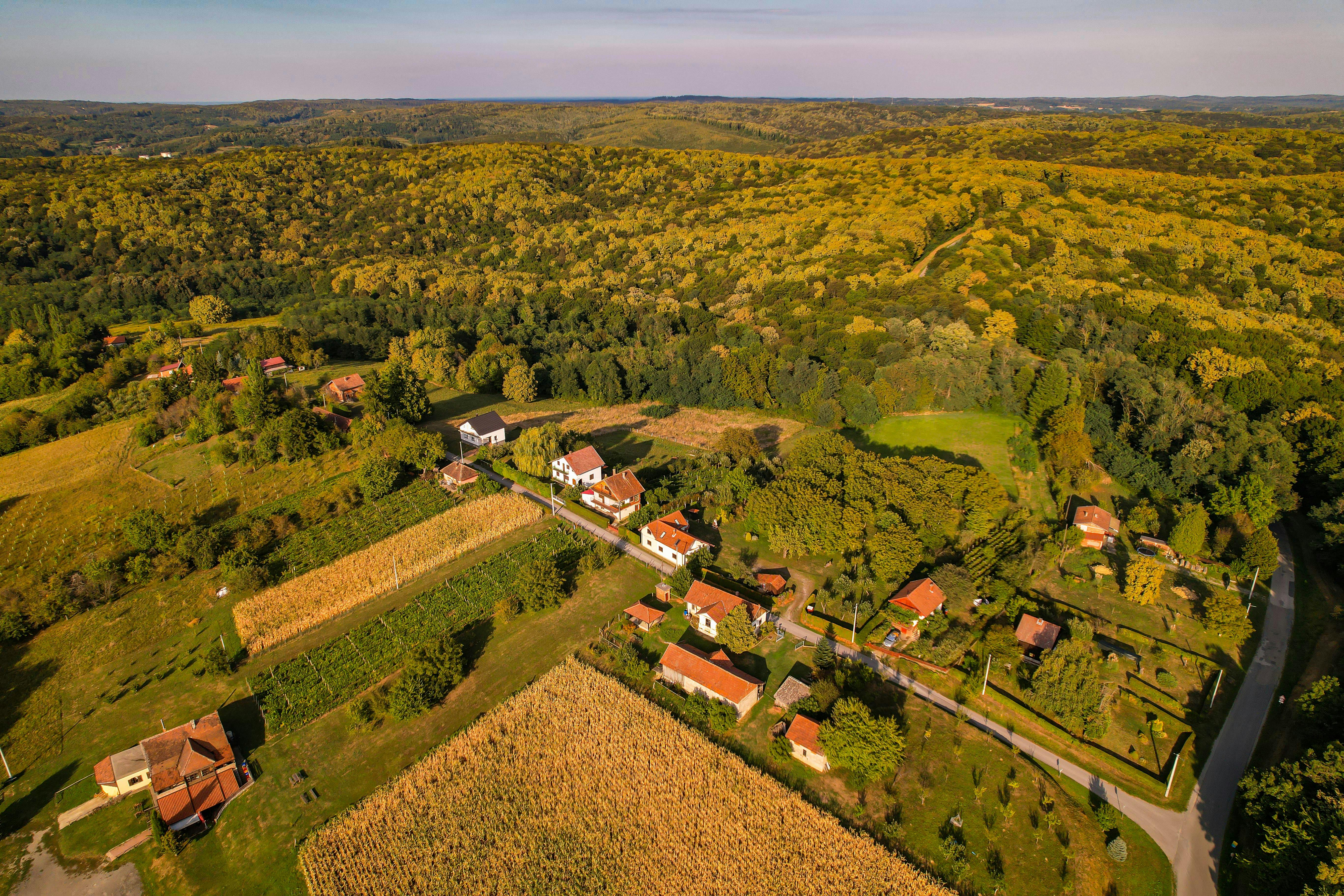 Boško Šutalo