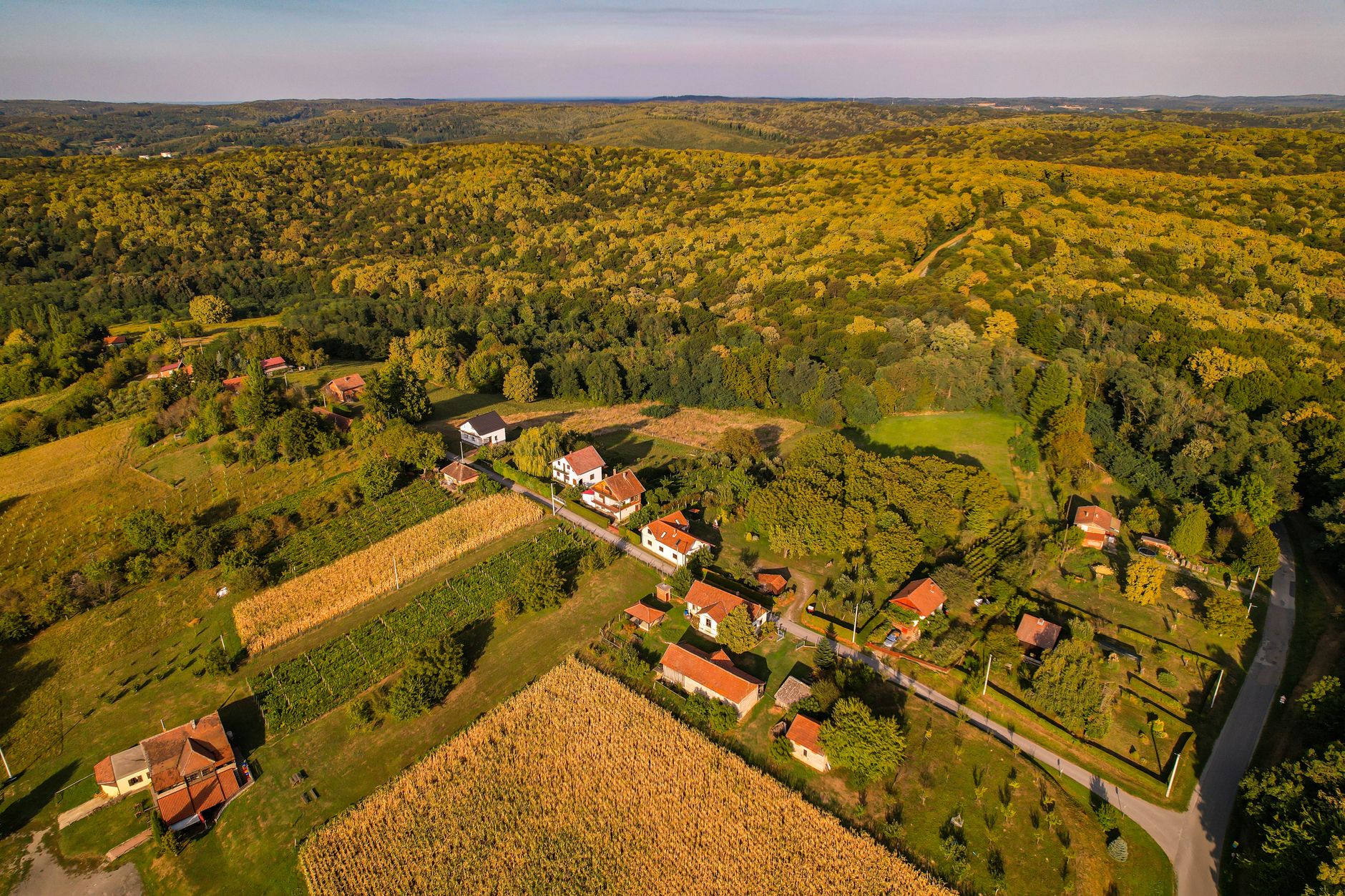 Boško Šutalo