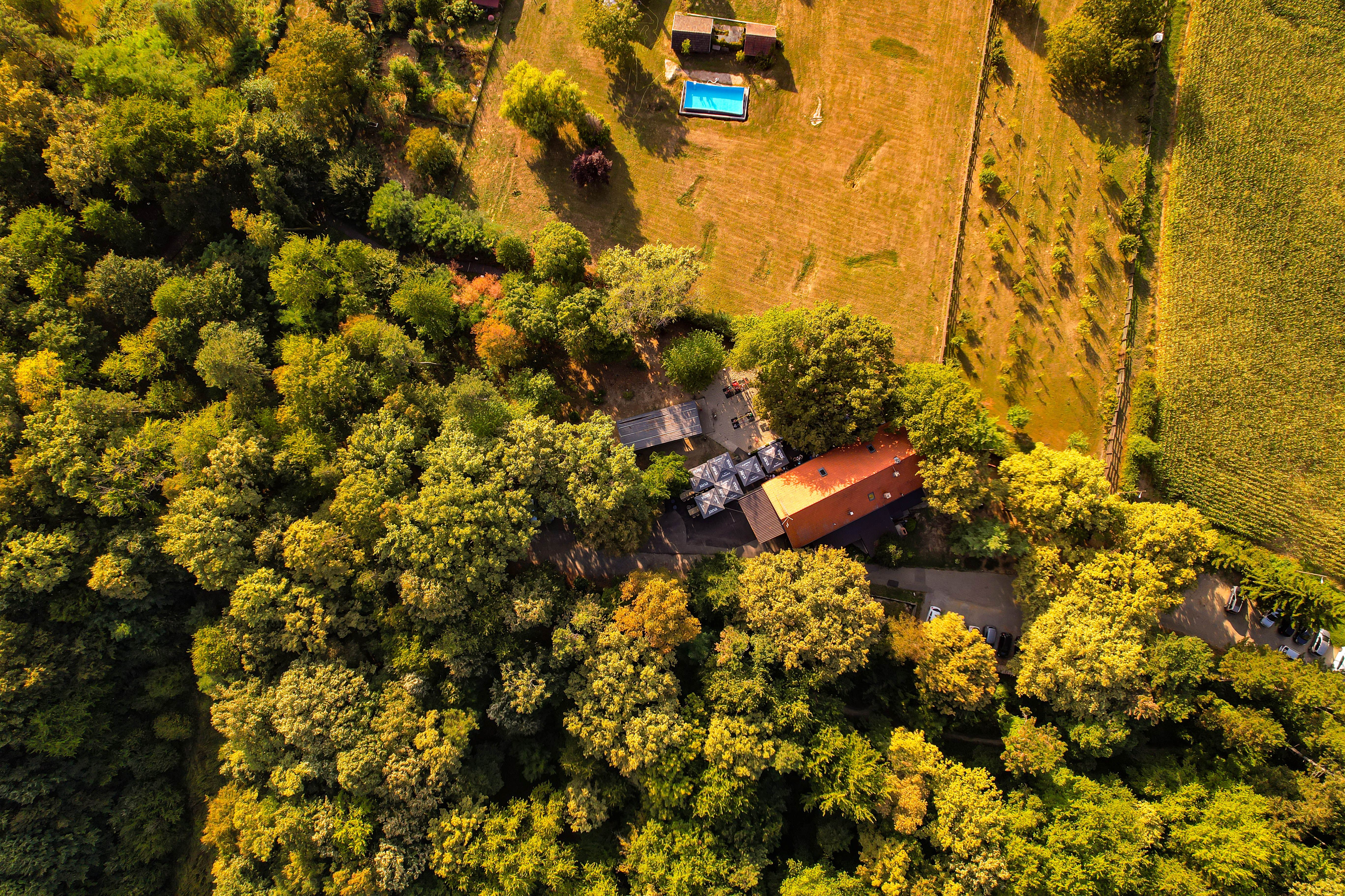 An aerial view of a house surrounded by trees · Free Stock Photo