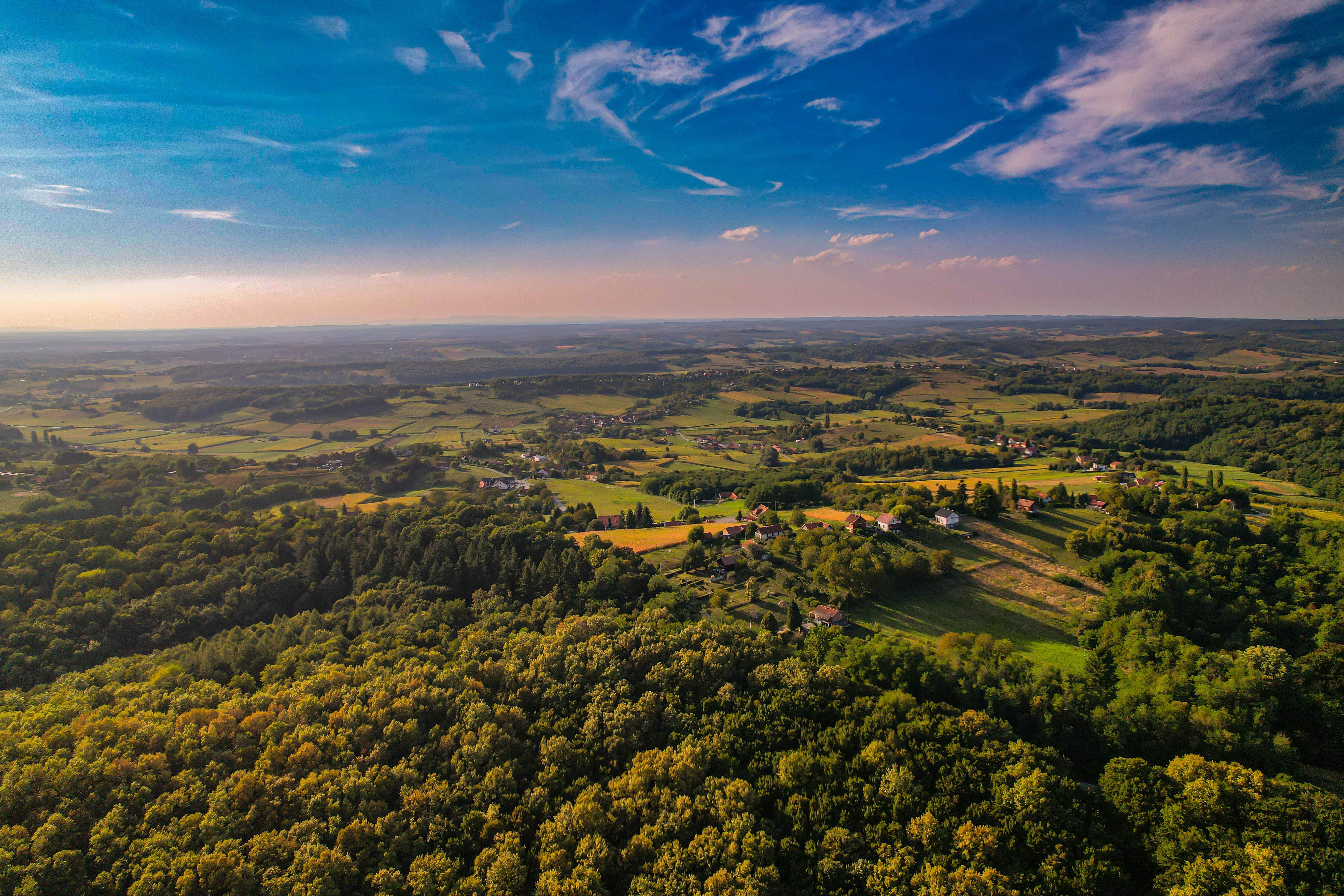 Aerial view of a rural landscape with trees and fields · Free Stock Photo