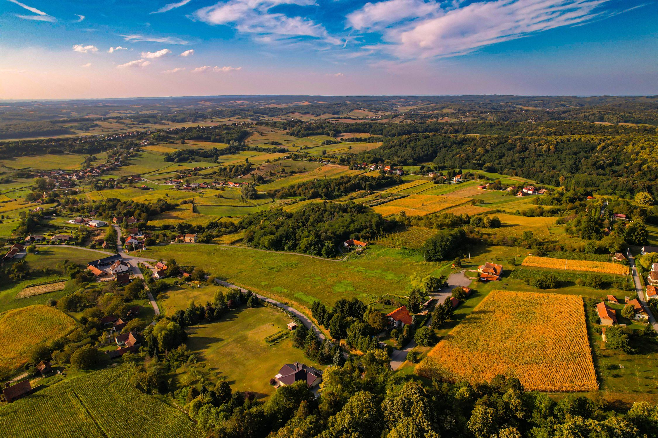 Deep Rural Area Trees Aerial view of a rural area with fields and trees · Free Stock Photo
