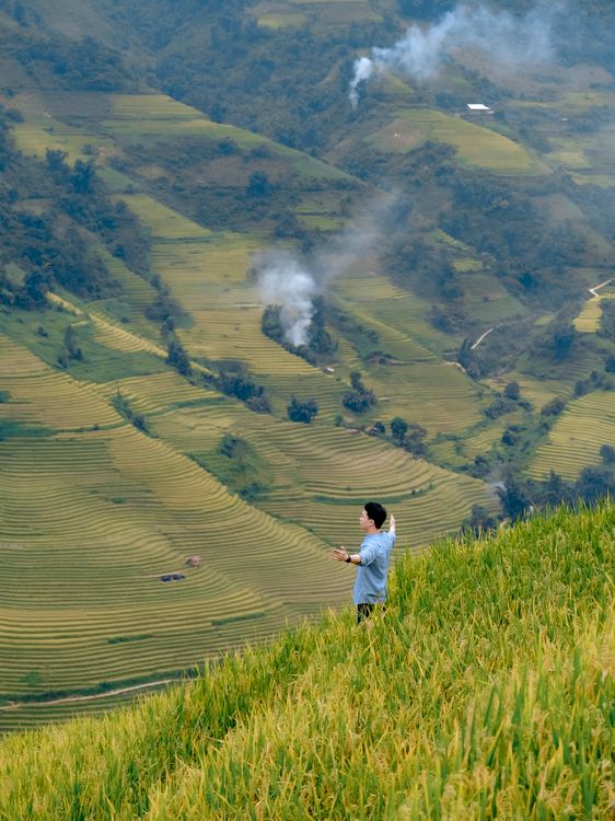 View Rice Field Human A man is standing on a hill looking at a rice field · Free Stock Photo