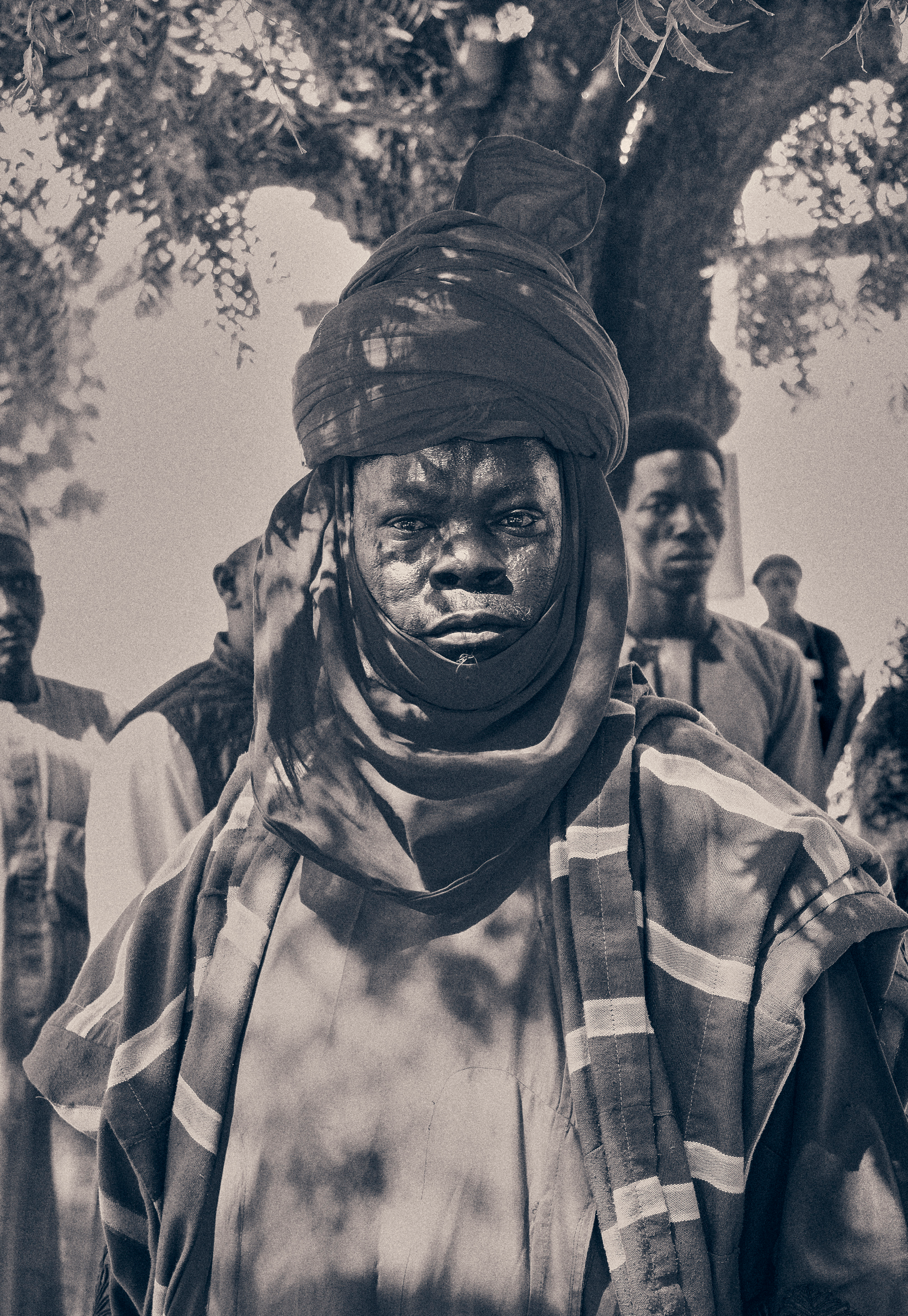Dogari · Free Stock Photo