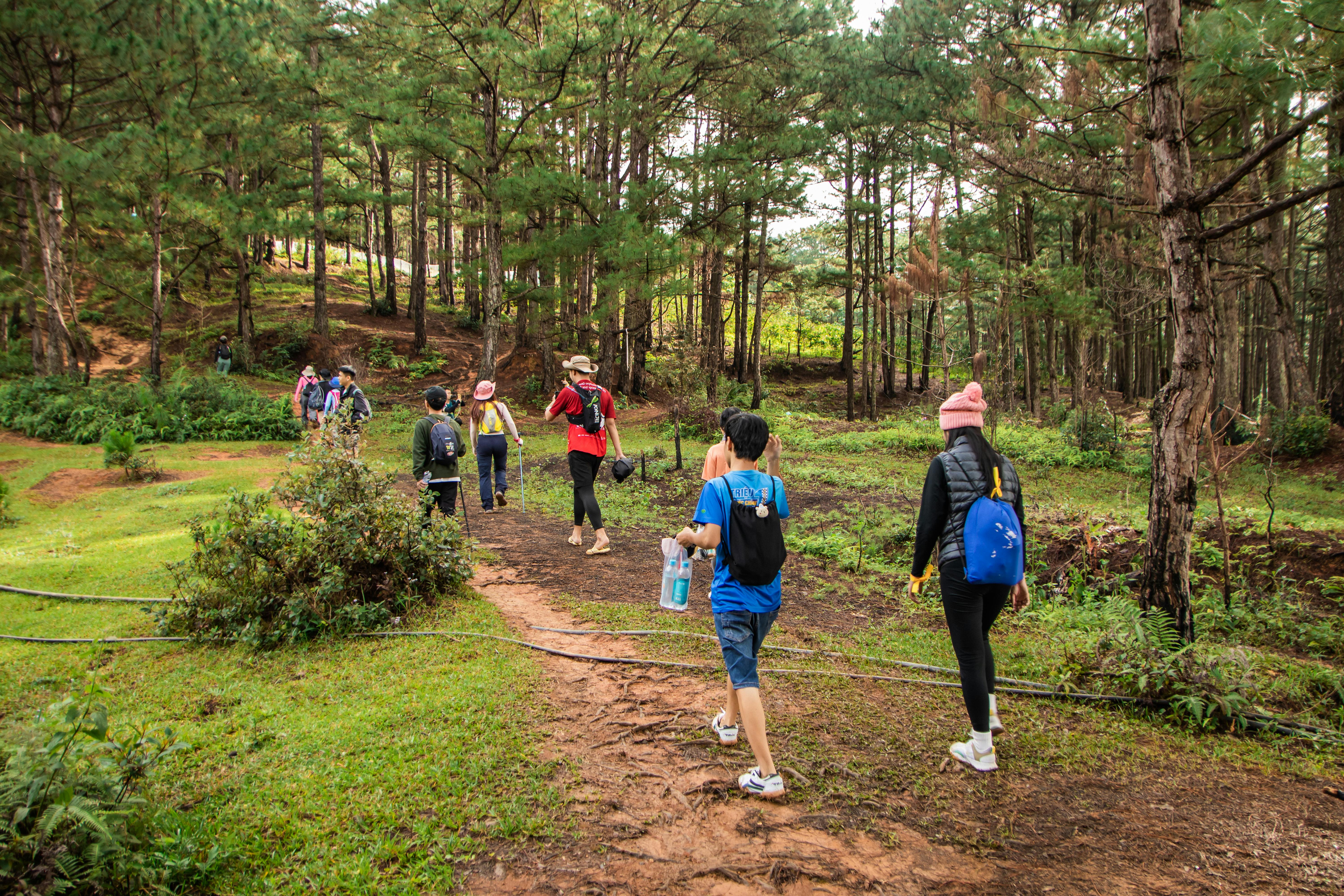 people walking through the woods on a trail