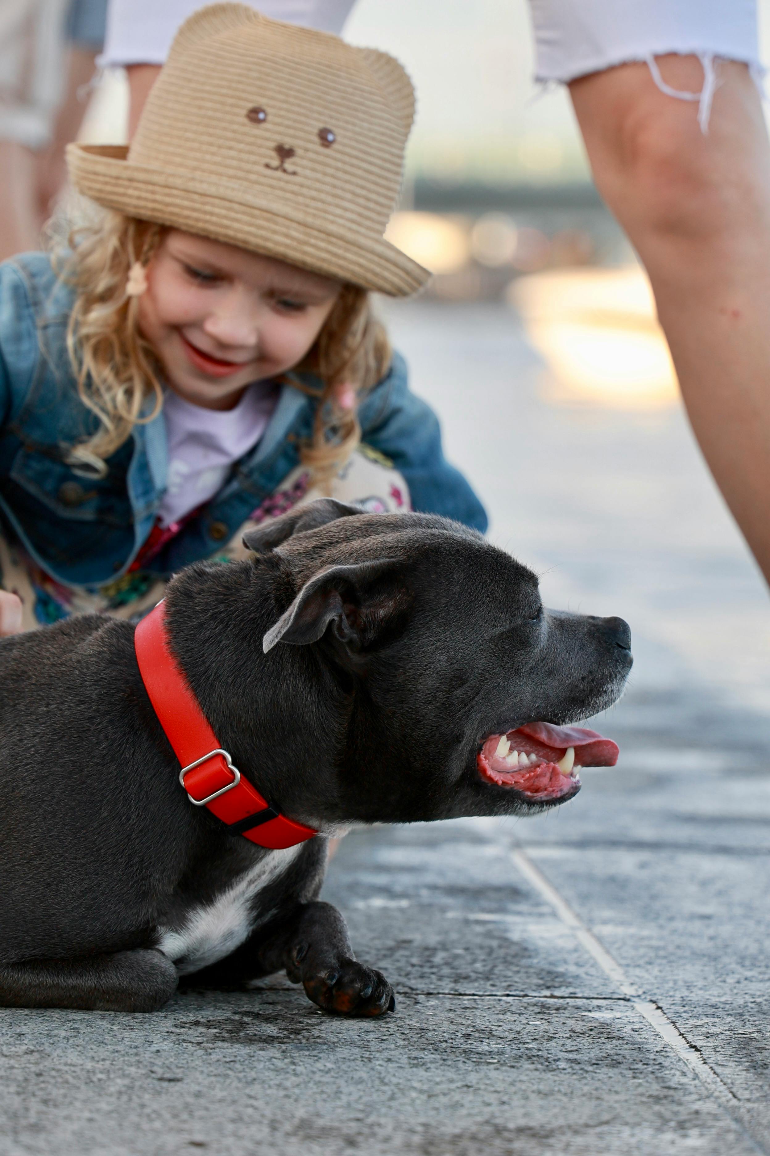 A little girl petting a dog on the ground