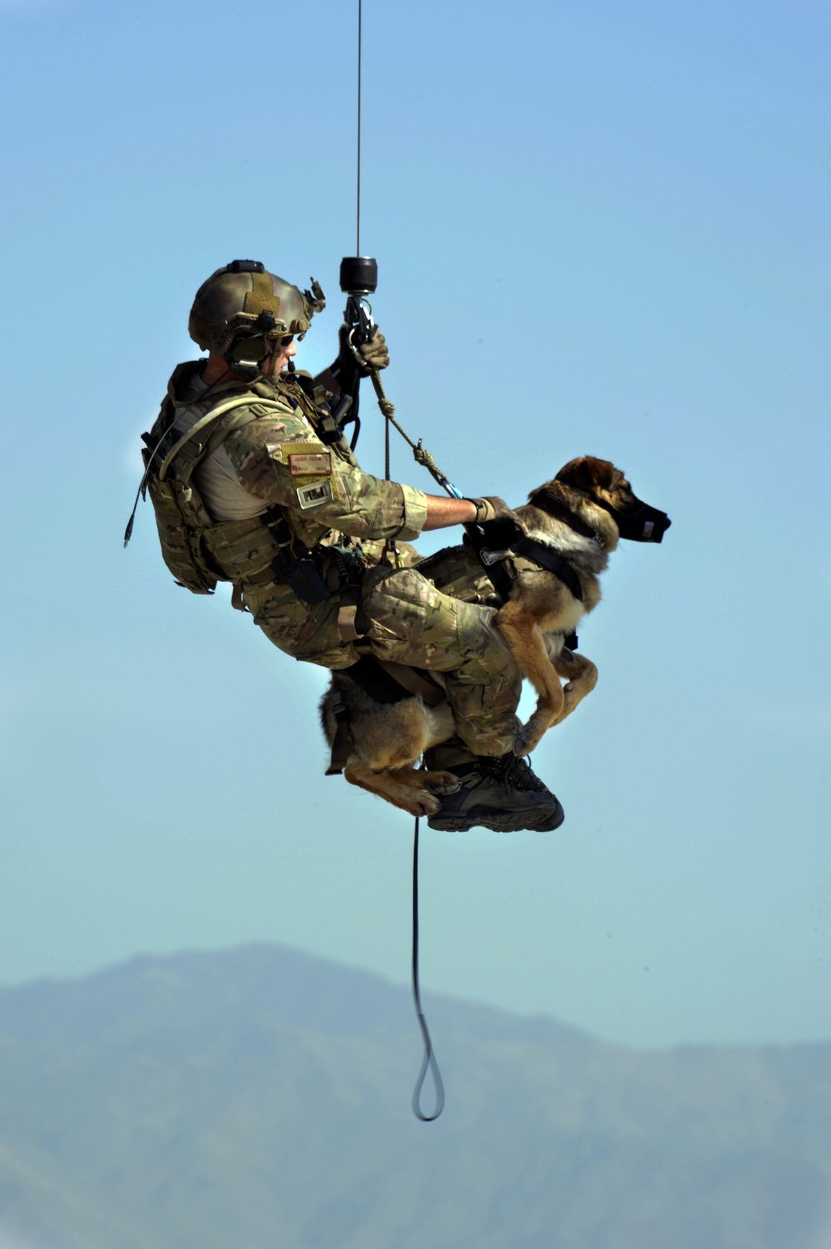Protection Training — SoFlo K9 Connections dog training in South Florida
