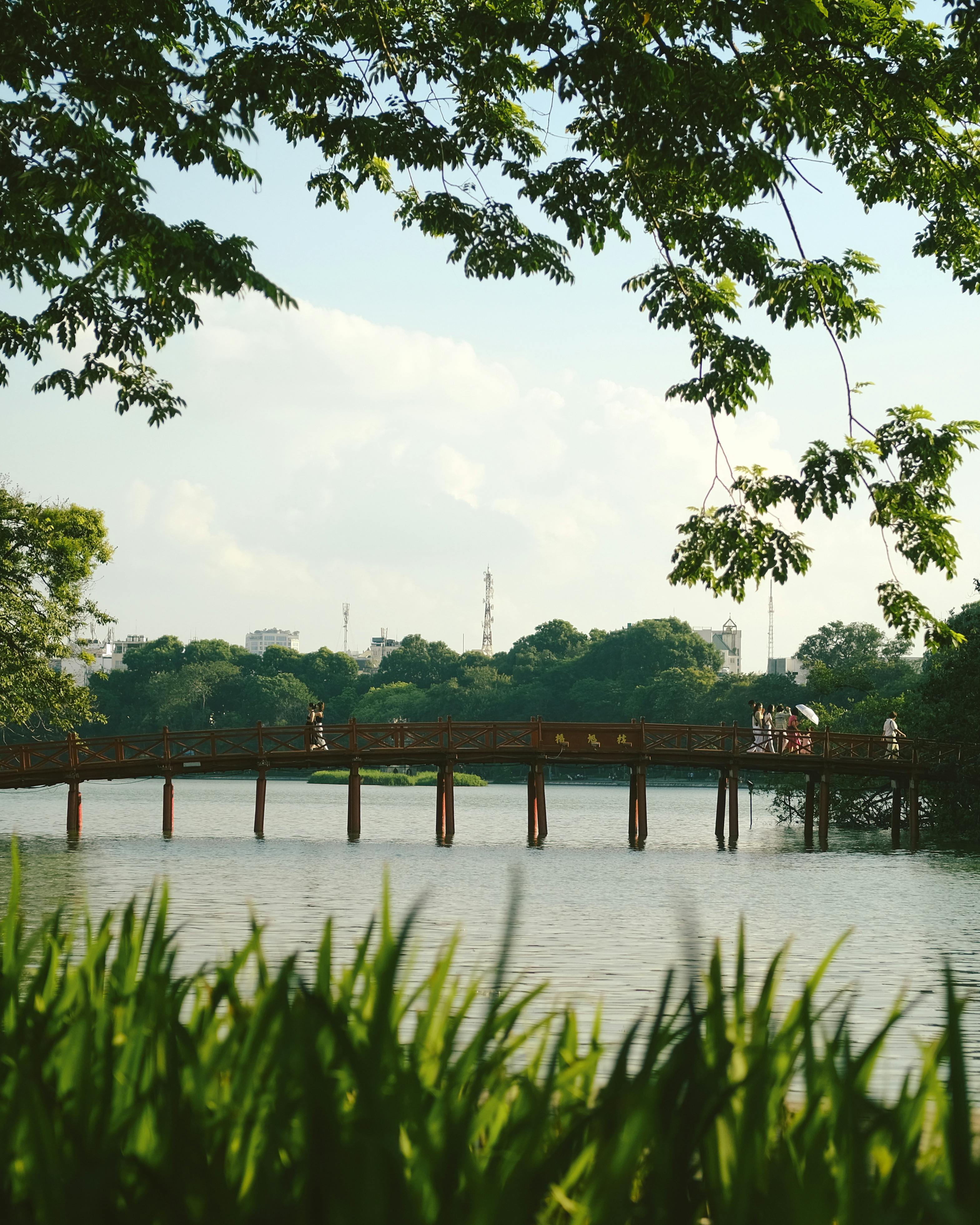 A serene summer view of a bridge over a lake surrounded by lush greenery, perfect for outdoor leisure.