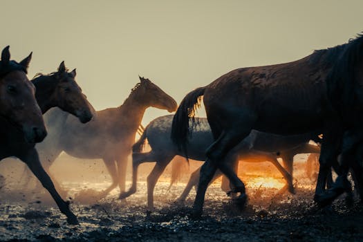 A thrilling shot of wild horses galloping across muddy terrain during a sunset, capturing the essence of nature's raw energy.