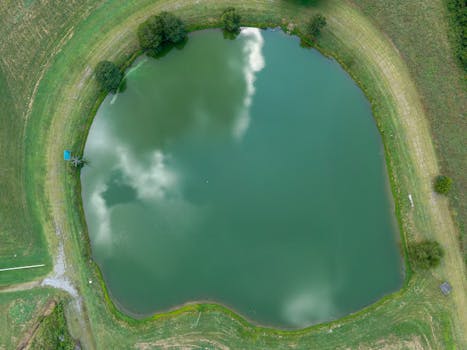 Aerial view of a tranquil pond surrounded by greenery in Wildwood, Georgia, USA.