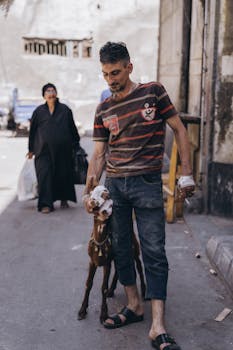 A man walks a goat along a street in Alexandria, capturing vibrant street life.
