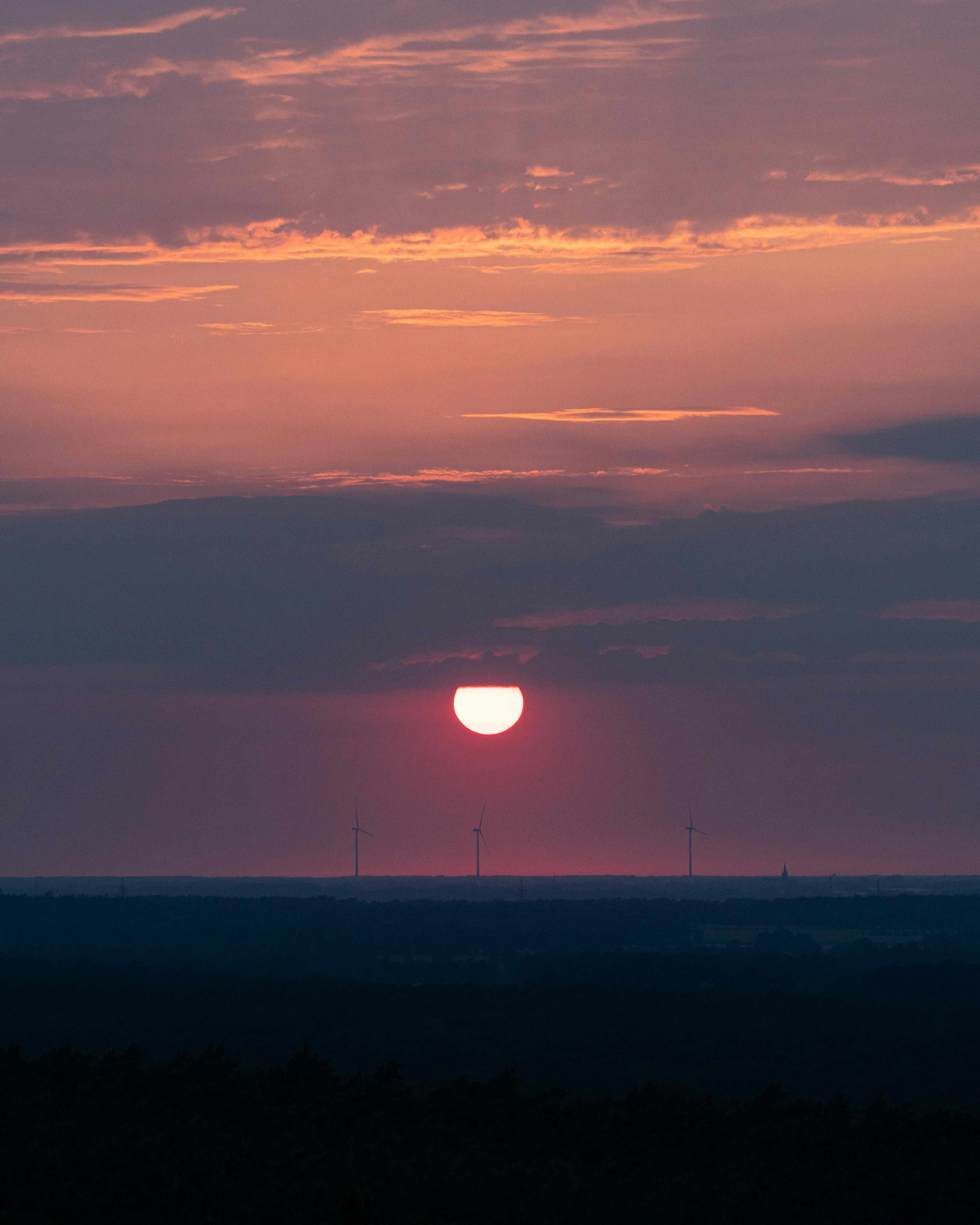 Ilmainen kuvapankkikuva tunnisteilla appelsiini, asetelma, auringonlasku Kuvapankkikuva