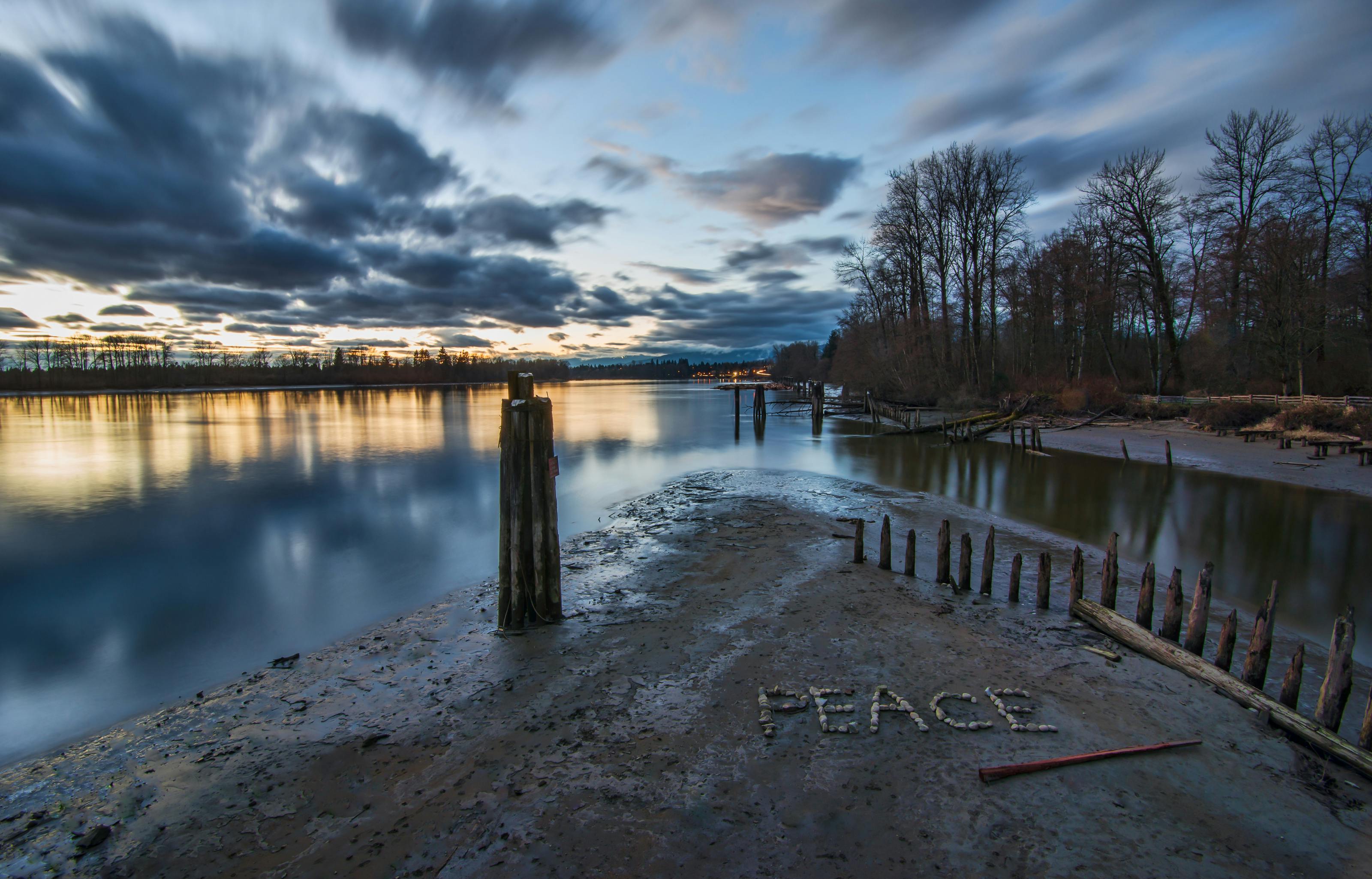 landscape photography of trees and body of water under cloudy skies