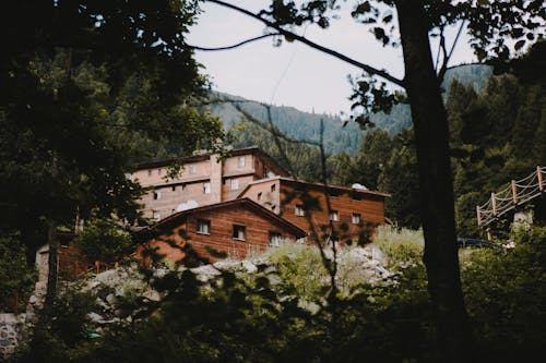Free Photo Of House In Forest During Daytime Stock Photo