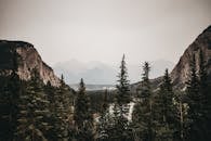 班夫山脉风景宁静，森林朦胧，天空壮丽