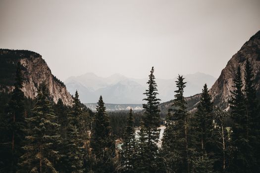 Peaceful view of Banff mountain scenery with misty forest and dramatic sky.