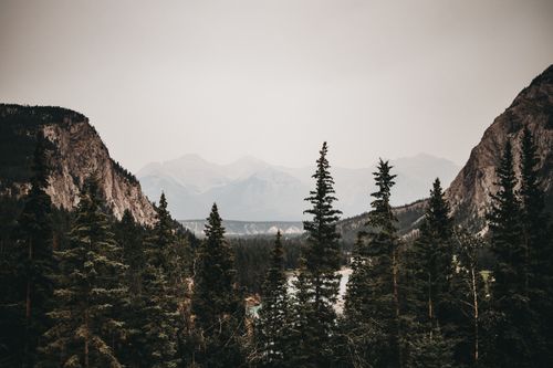 Free Peaceful view of Banff mountain scenery with misty forest and dramatic sky. Stock Photo