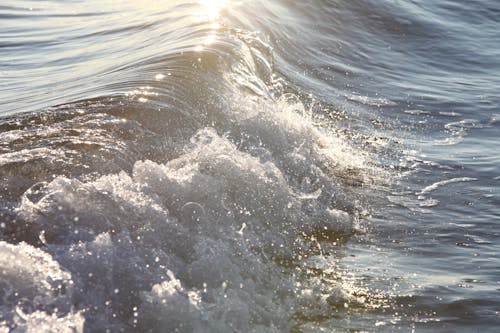 Free stock photo of sea, waves