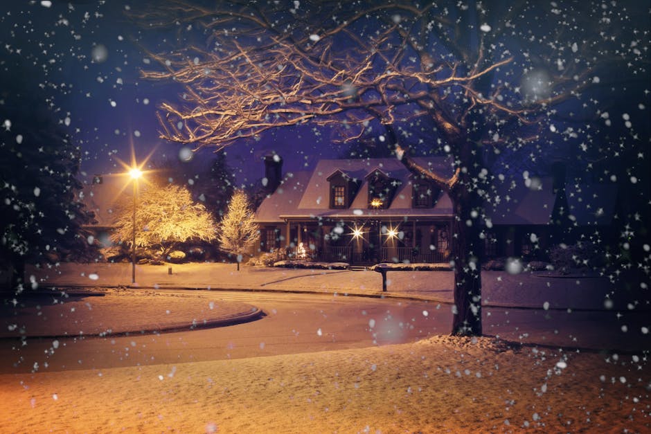 Bare Tree With Snow