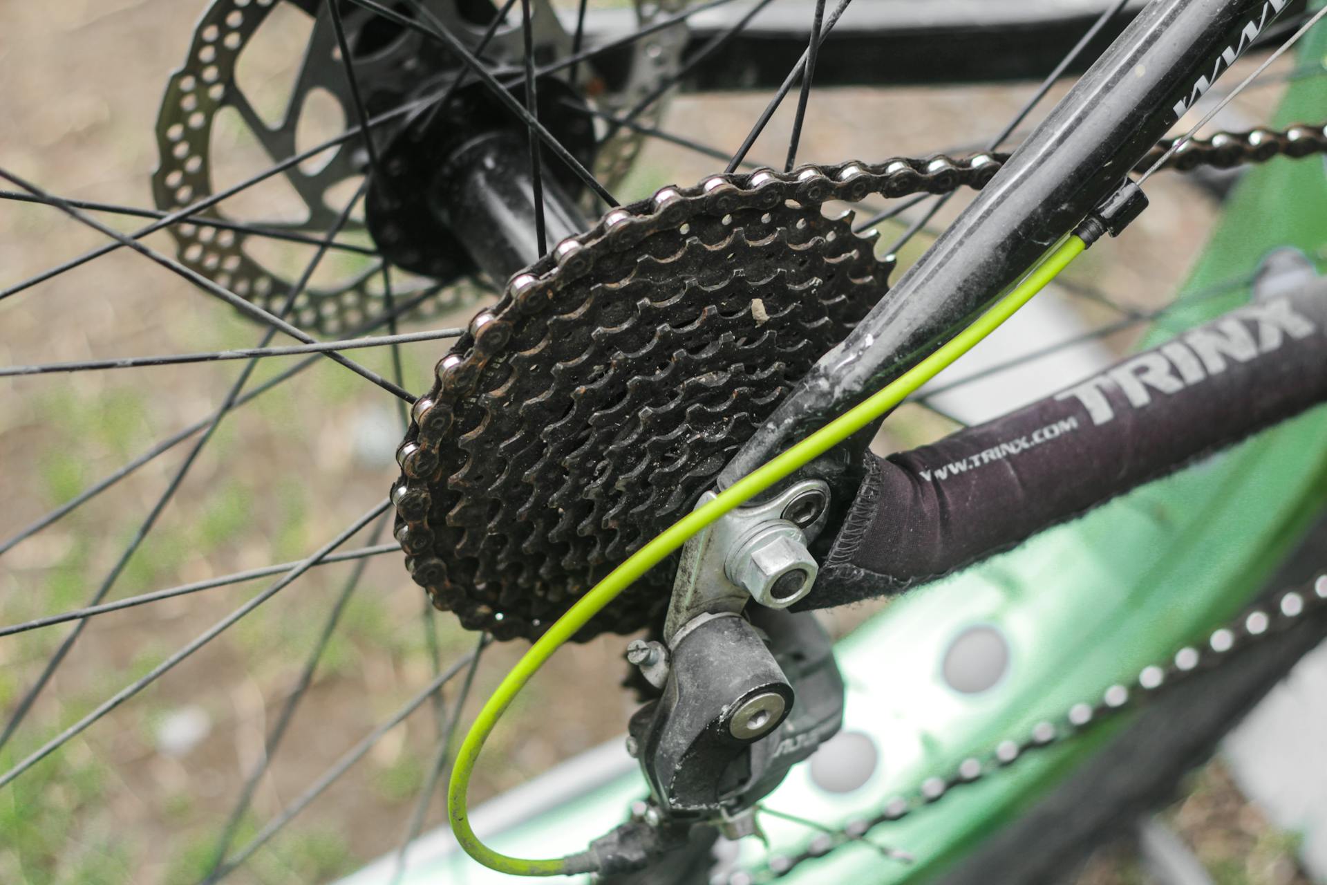 Detailed view of a mountain bike's gear and disc brake outdoors.