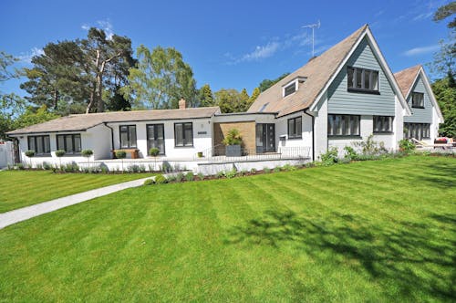 Maison En Bois Blanc De 2 étages Près D'un Arbre