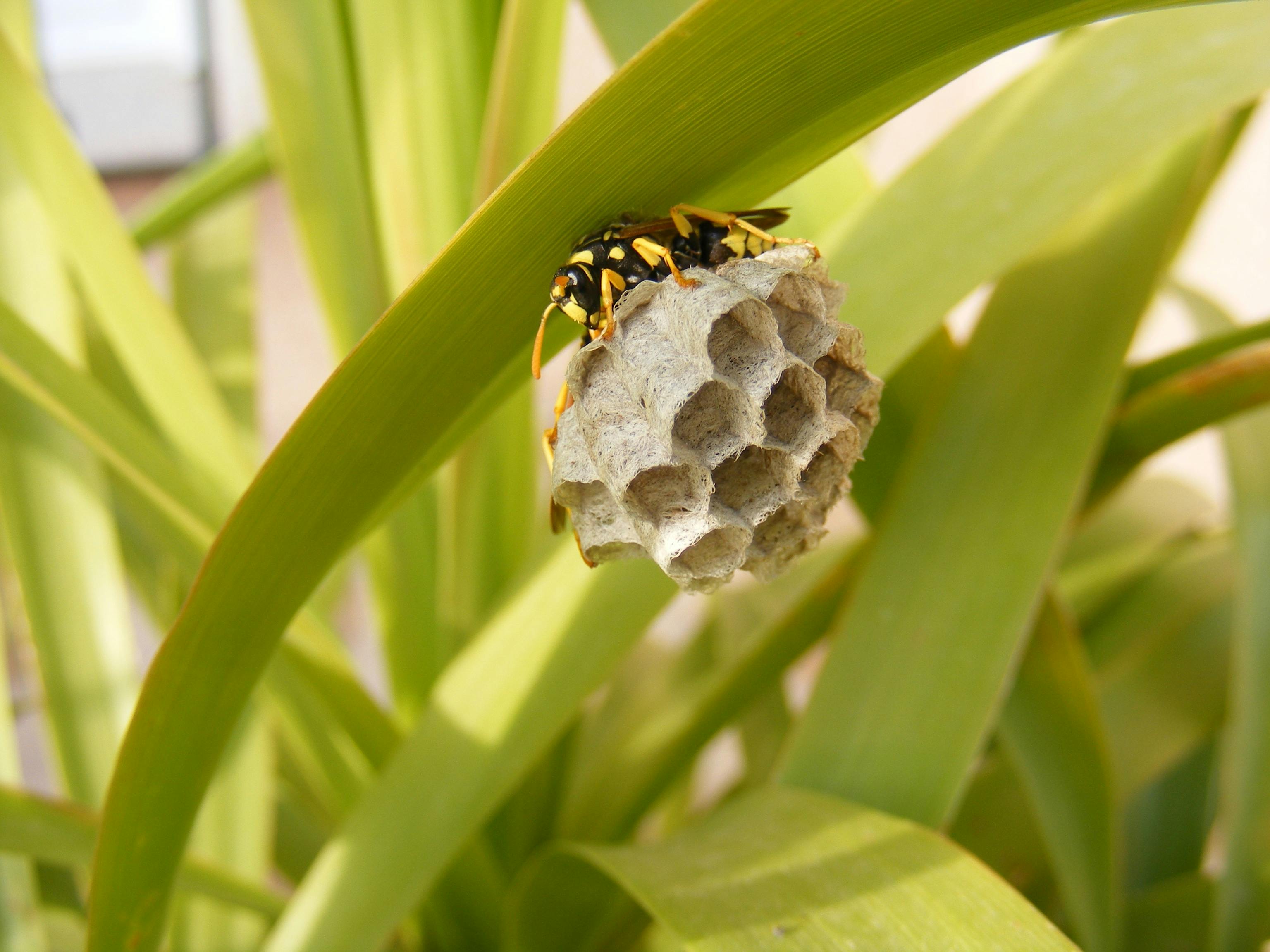 Resources for selling inherited houses - professional home buyer services