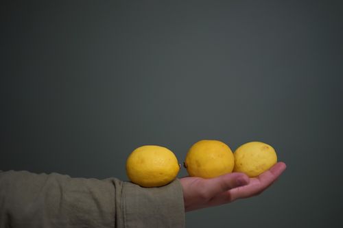 Free A hand holding three ripe yellow lemons against a minimalist backdrop. Stock Photo