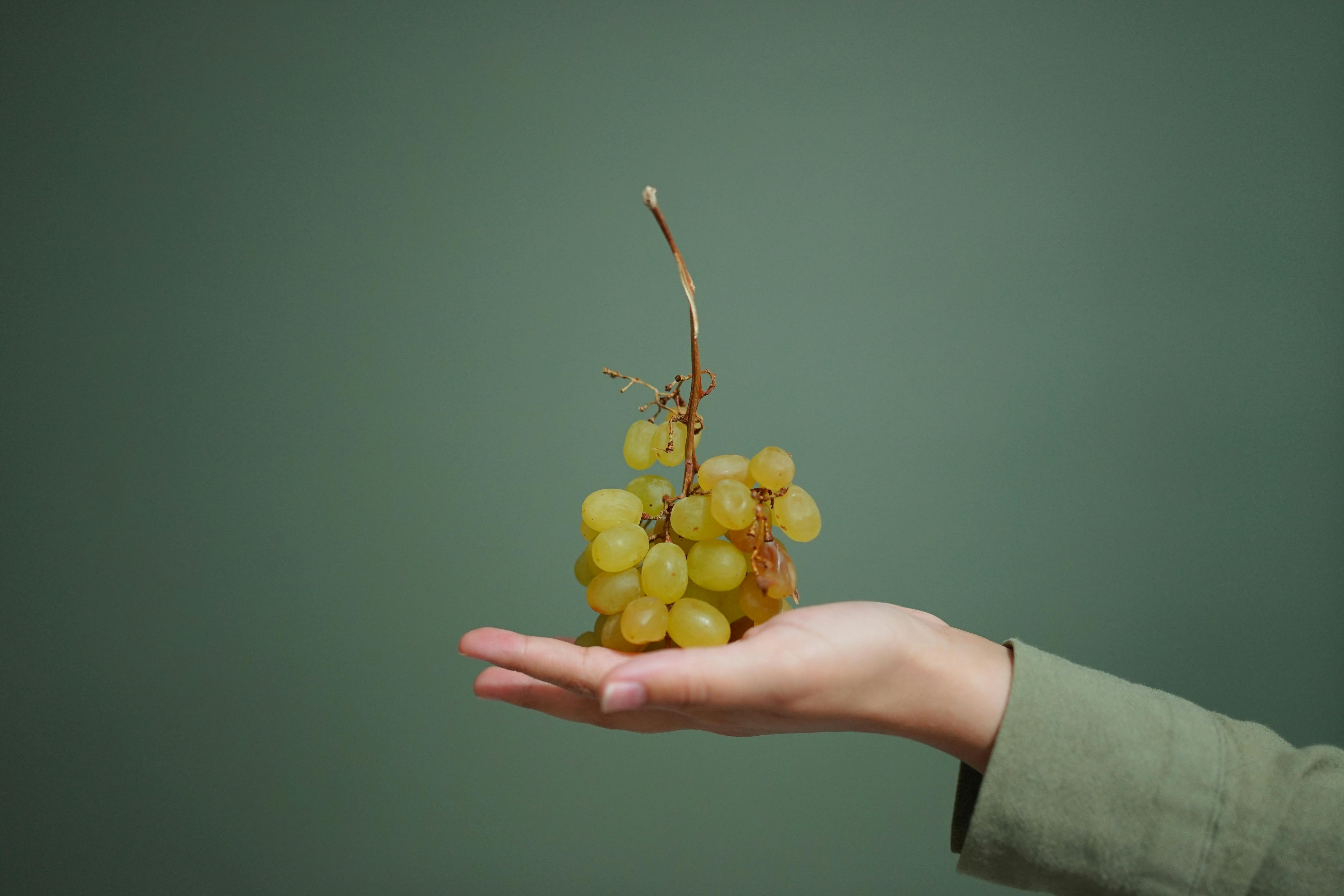 A hand holding a cluster of fresh green grapes against a plain background.